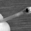 Lyme Disease